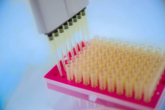 Schneidkante Mehrfach-Hohlraum-Formen für hochpräzise Mikropipettierung