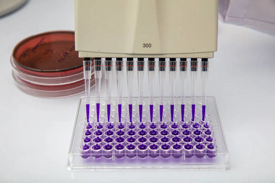 Ein guter Preis. Flüssigkeitsbehandlung Medizinprodukte Formen Mehrhöhlens Mikropipette Formen Kunststoffspritzgießerei Automobilteile Online